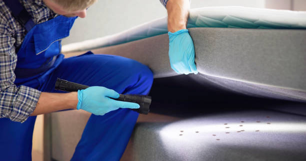 Trusted Richland, WA Pest Control Experts