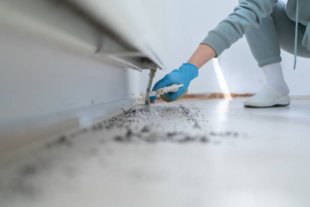 Best Pest Control Near Me in Richland, WA