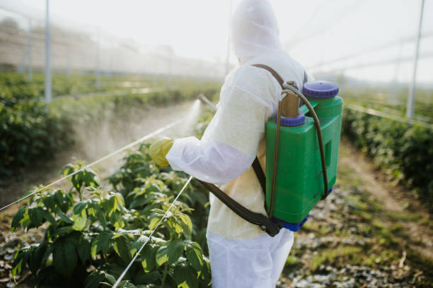 Best Pest Control Treatment  in Richland, WA